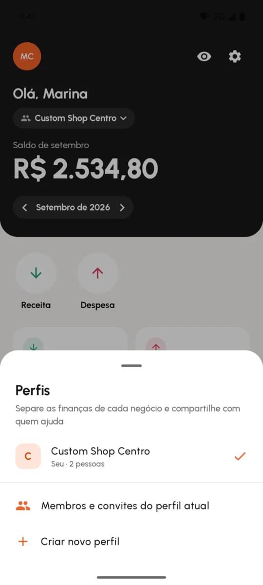 Troca de perfil entre negócios